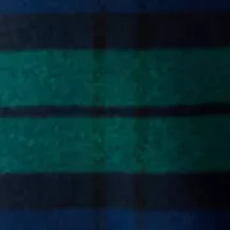 Big & Tall Long Sleeve Woven Flannel Shirt