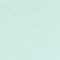 Short Sleeve Jasper Henley T-Shirt