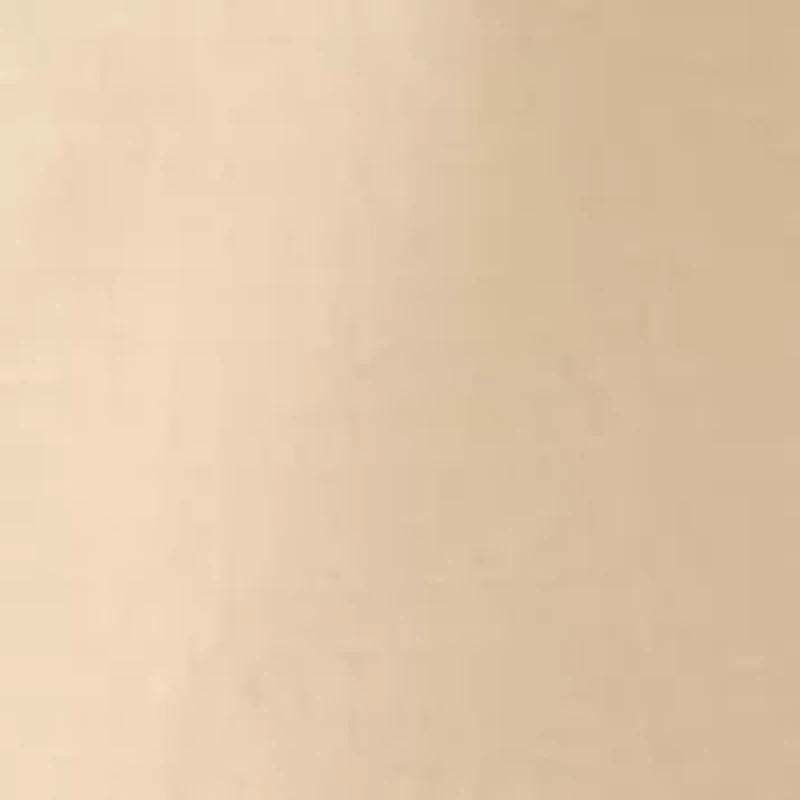 Men's 9-Inch Ripstop Flat Front Shorts