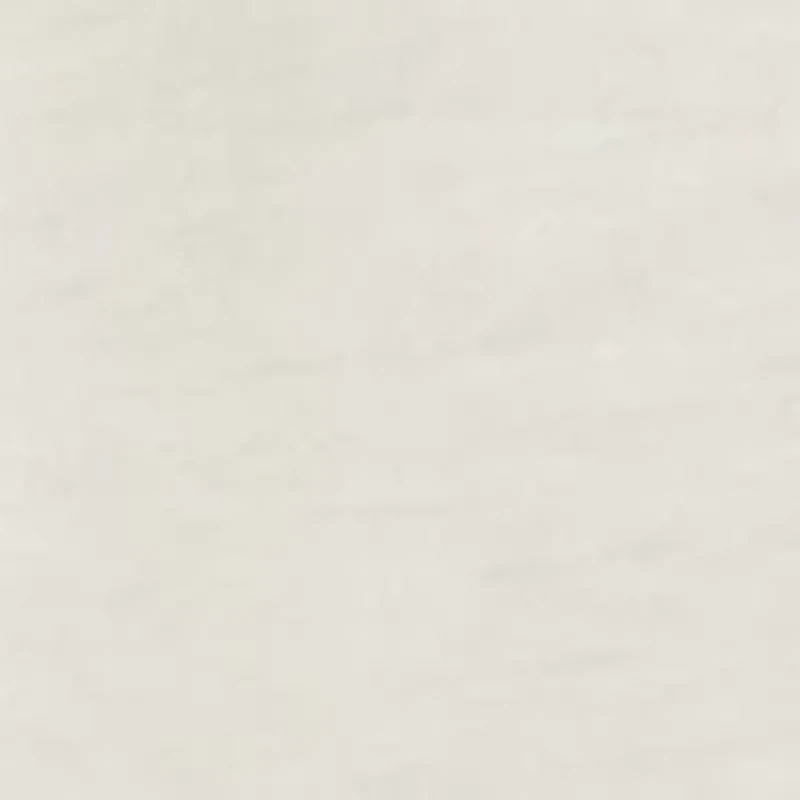 Flag Print Golf Polo Shirt