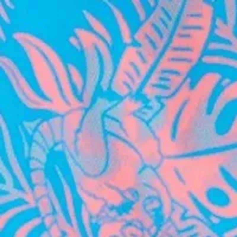 19" Robbie Boardshorts