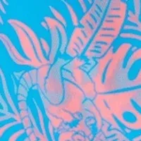 19" Robbie Boardshorts