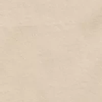 Men's Bandit Graphic T-Shirt