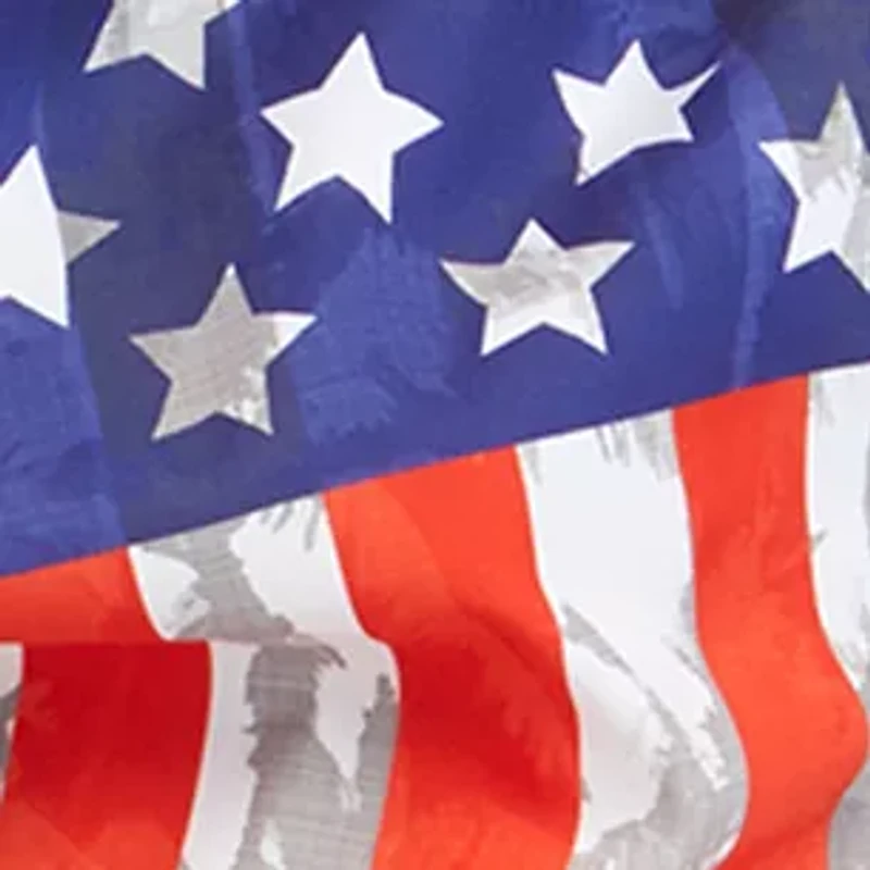 US Flag Sano Swim Shorts