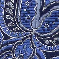 Allover Paisley Tie