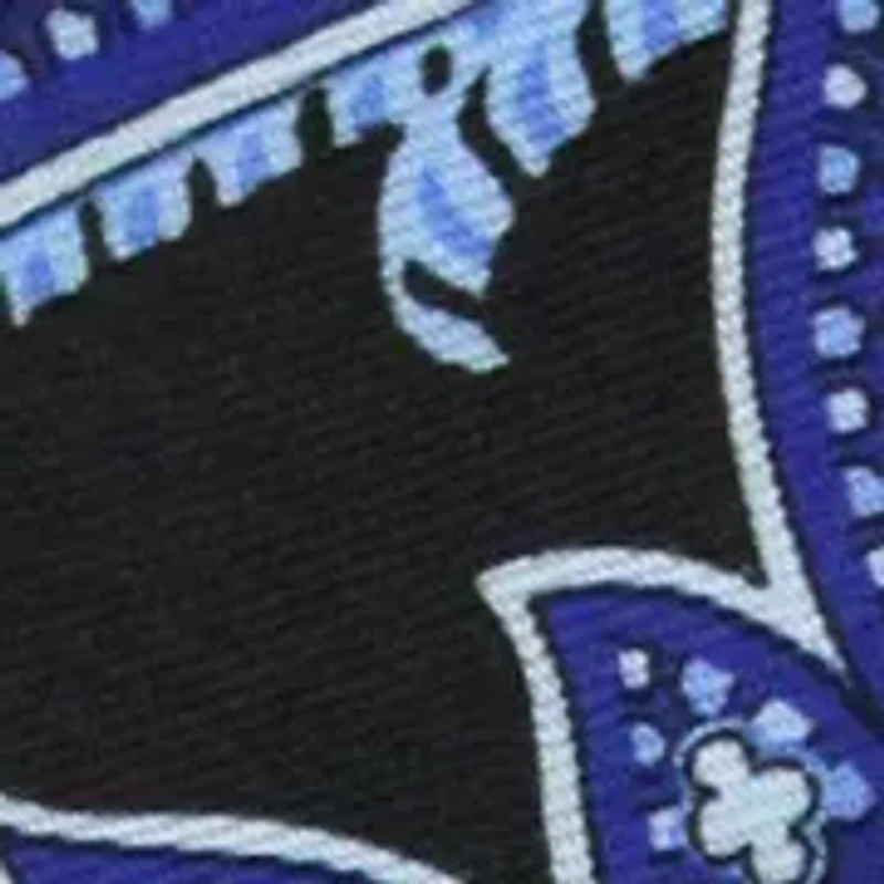 Printed Paisley Tie