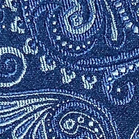 Paisley Tie