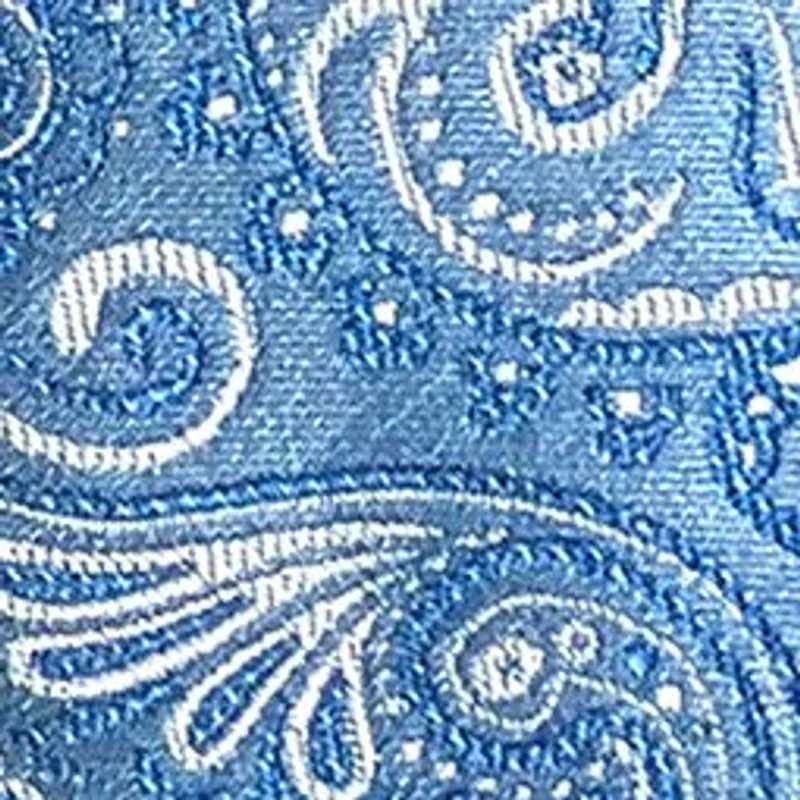Paisley Tie