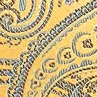 Paisley Tie
