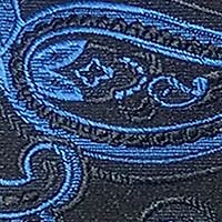 Persian Paisley Tie