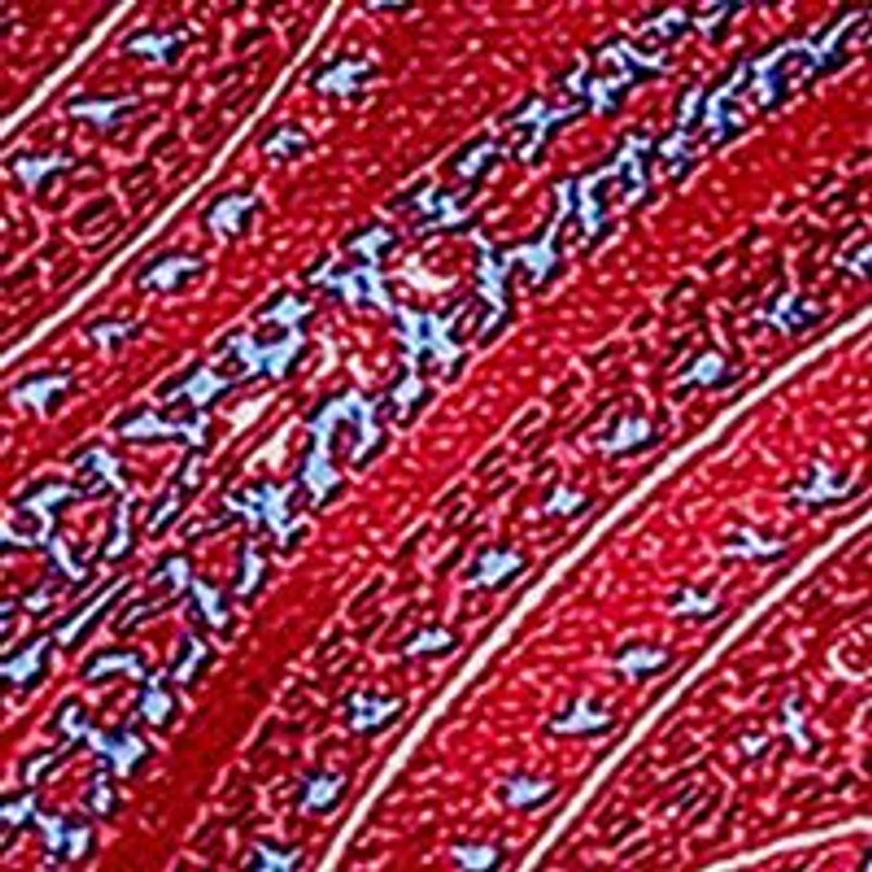 Persian Paisley Tie