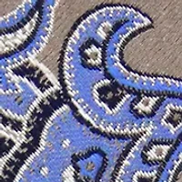 Spaced Paisley Tie