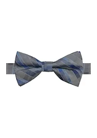 Men's Multi Stripe Printed Bowtie
