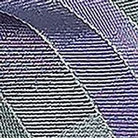 Men's Multi Stripe Printed Bowtie