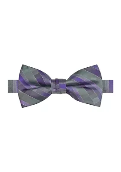 Men's Multi Stripe Printed Bowtie