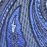 Paisley Print Tie