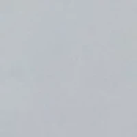 Performance Micro Ripstop Short Sleeve Woven Shirt