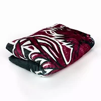 NCAA South Carolina Gamecocks Sublimated Soft Throw Blanket