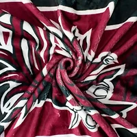 NCAA South Carolina Gamecocks Sublimated Soft Throw Blanket