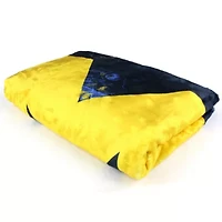 NCAA Michigan Wolverines Sublimated Soft Throw Blanket