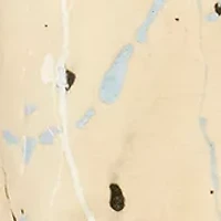 Anderson Revered T-Shirt