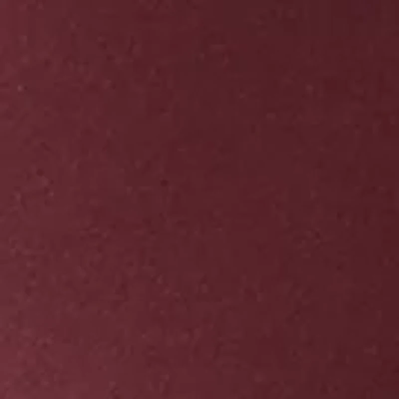 Men's Sport Brick Red Solid Classic Polo Shirt