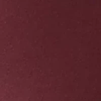 Men's Sport Brick Red Solid Classic Polo Shirt