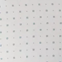 Men's Short Sleeve Shirt