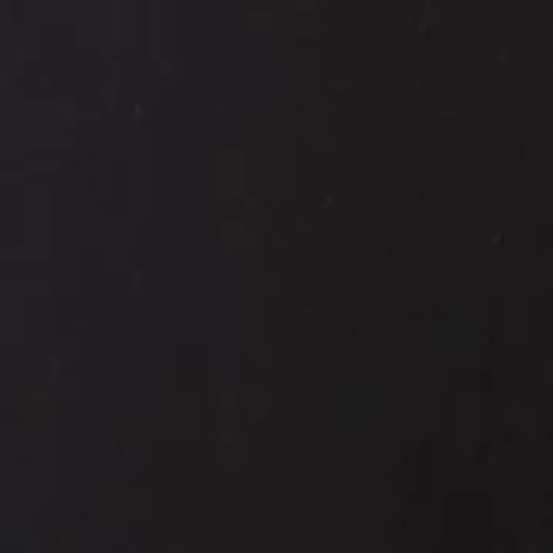 Men's Sport Black Solid Classic Vest