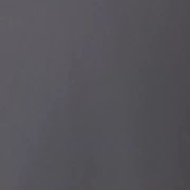 Men's Sport Charcoal Solid Classic Vest