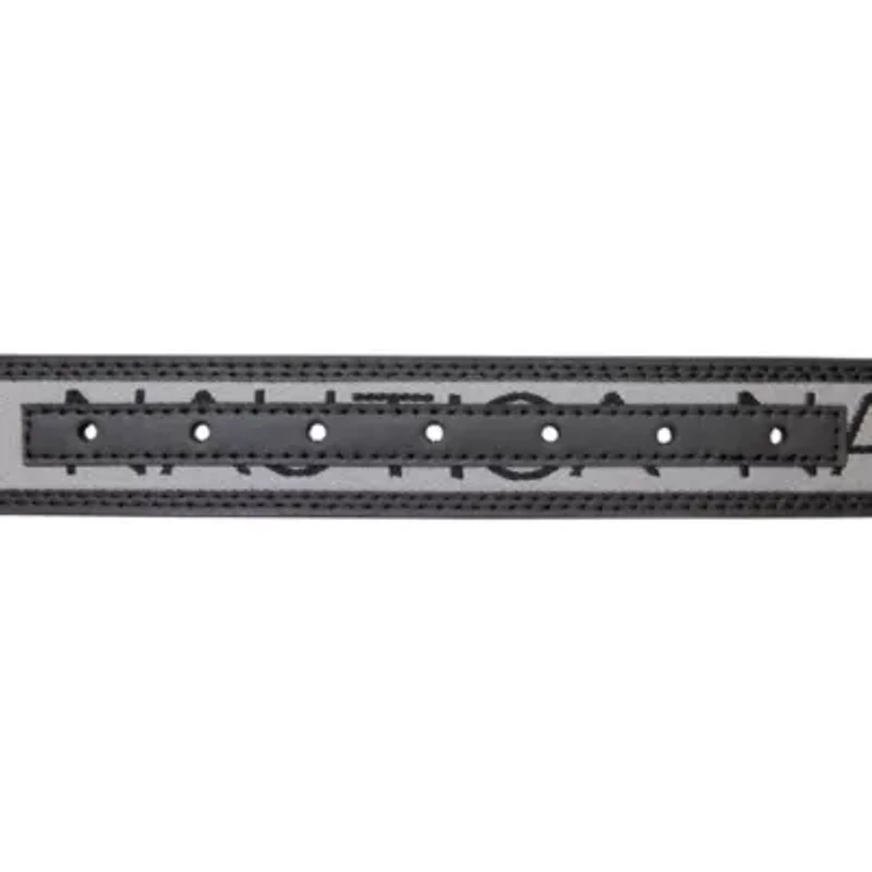 Signature Logo Ribbon with Leather Trim Belt