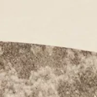 Big & Tall Short Sleeve Mustang GT 350 Graphic T-Shirt