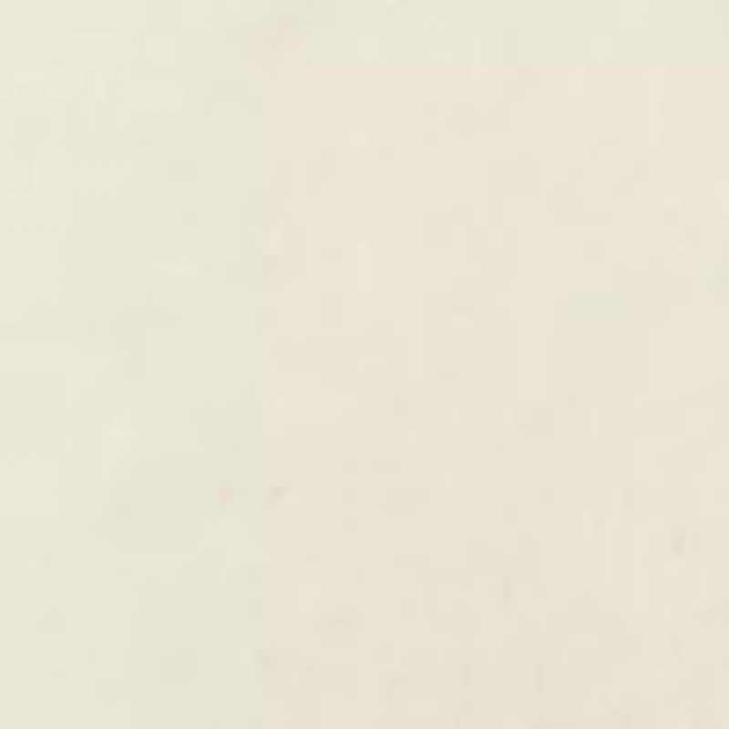 Men's Fender Western Graphic T-Shirt