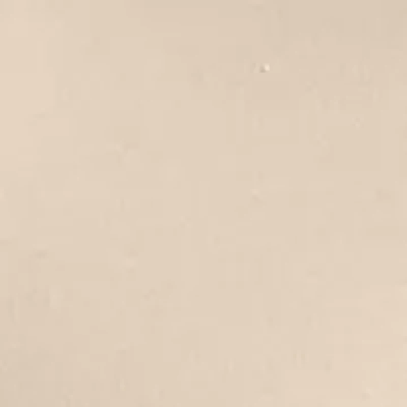 Men's Short Sleeve Rolling Stones Wild Horses Graphic T-Shirt