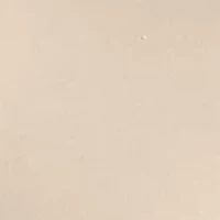 Men's Short Sleeve Rolling Stones Wild Horses Graphic T-Shirt