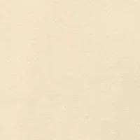 Chevy Garage Embroidered Graphic Shirt