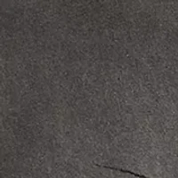 Men's Short Sleeve Tiger Surfer T-Shirt