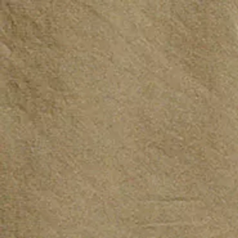 Parachute Cargo Pants