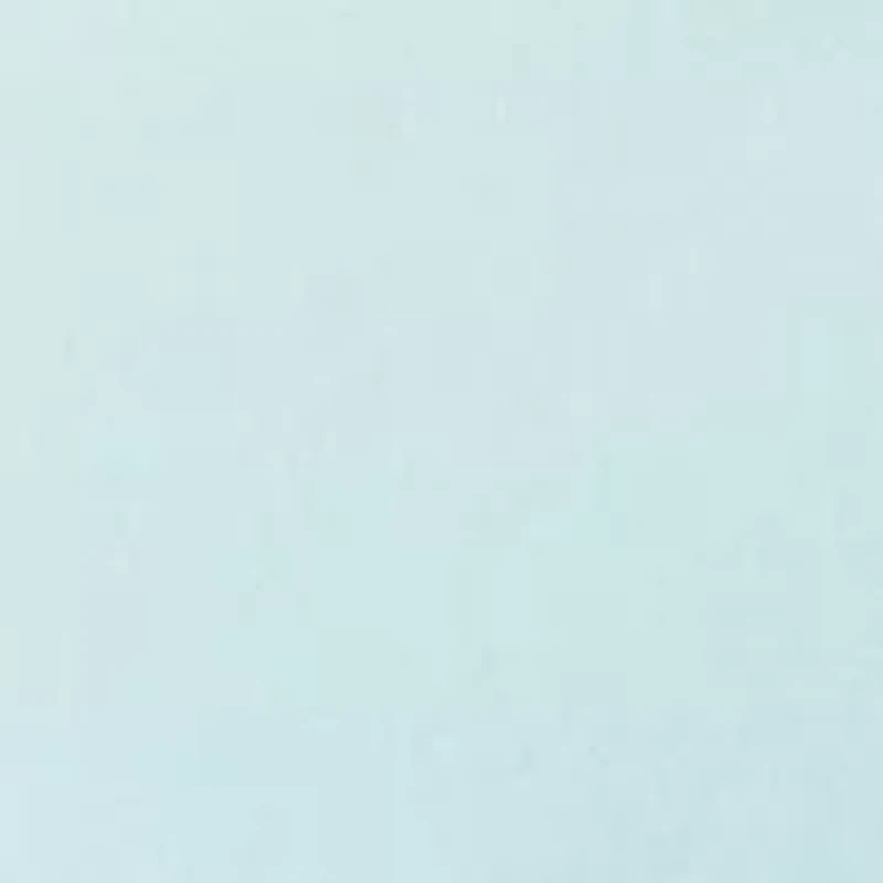 Venice Burnout Notch T-Shirt