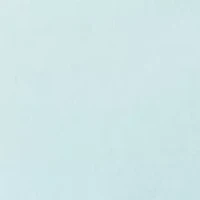 Venice Burnout Notch T-Shirt