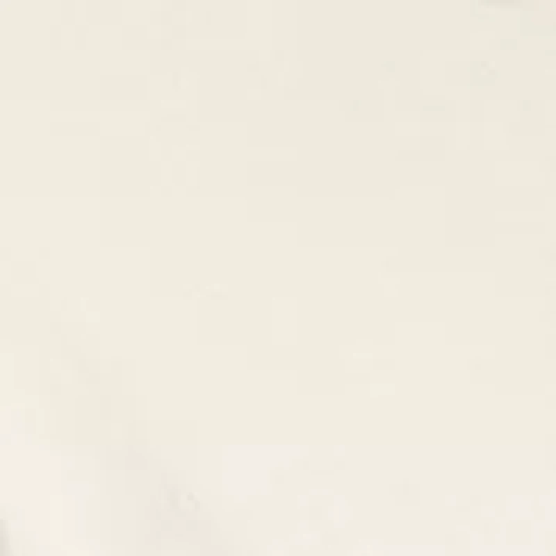 Budweiser America Graphic T-Shirt