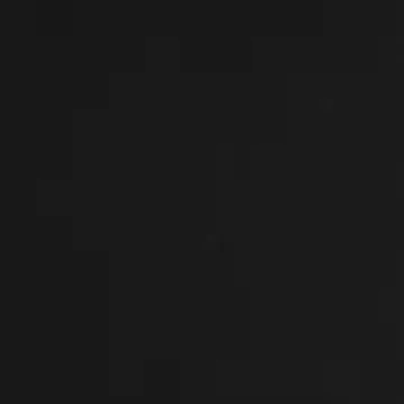 Long Sleeve Regular Button Down Solid Shirt