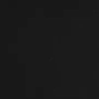 Long Sleeve Regular Button Down Solid Shirt