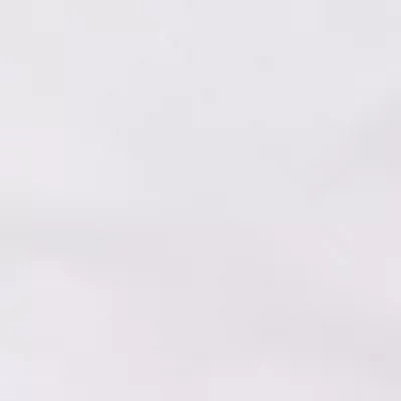 Regular Fit Allover Stretch Button Down Shirt