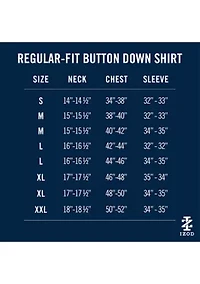 Men's Allover Stretch Regular Fit Button Down Shirt