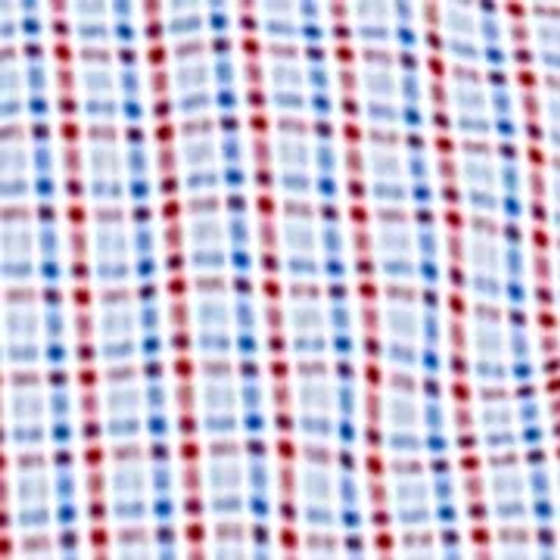 Long Sleeve All Over Stretch Regular Fit Button Down Shirt