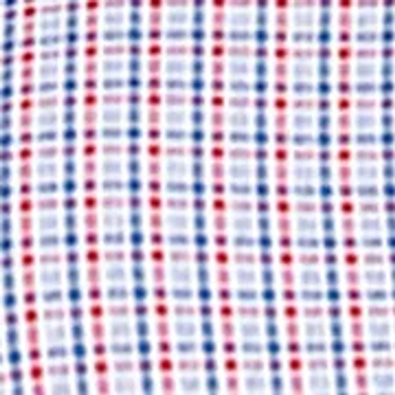 Big & Tall Long Sleeve Plaid Dress Shirt