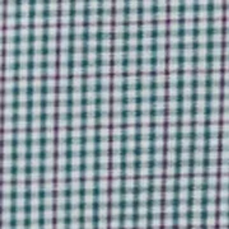 All-Over Stretch Regular Fit Button Down Shirt