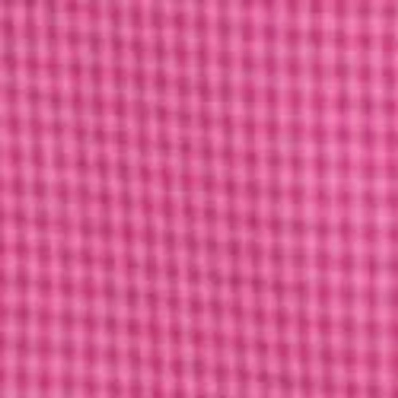 Big & Tall Long Sleeve Gingham Dress Shirt