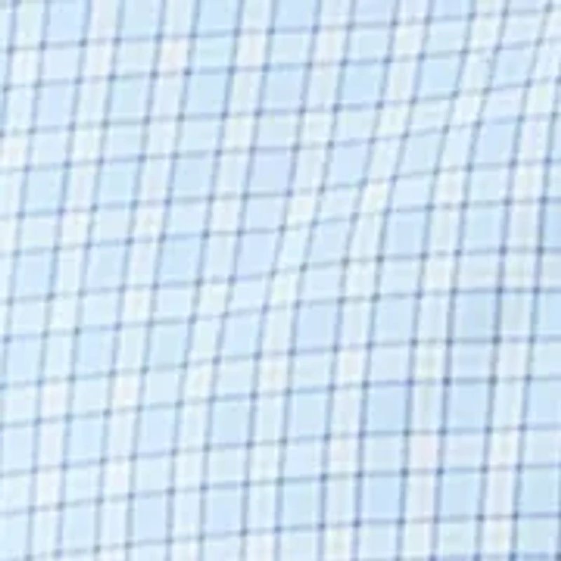 Big & Tall Long Sleeve Plaid Dress Shirt